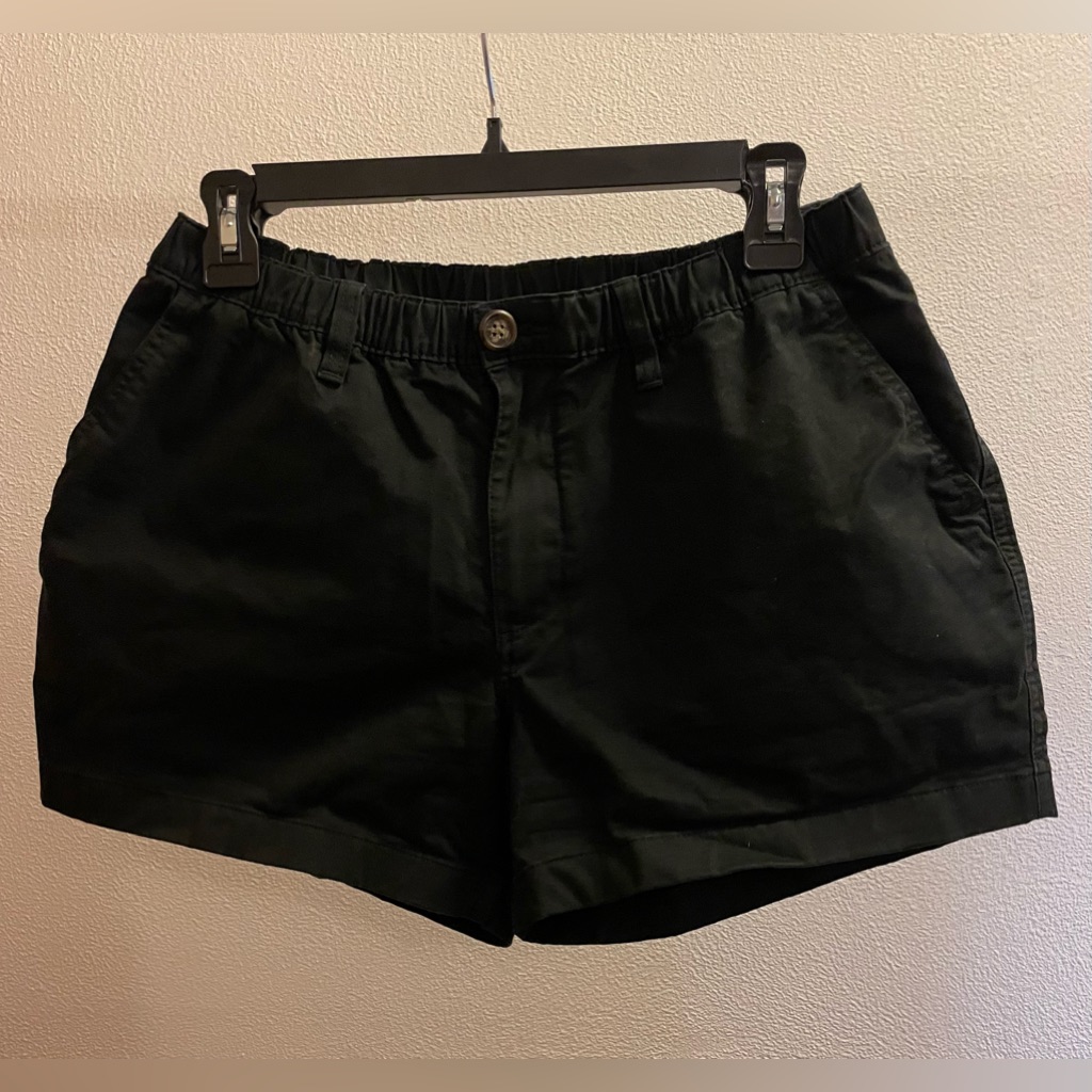 Chubbies 2 Pair